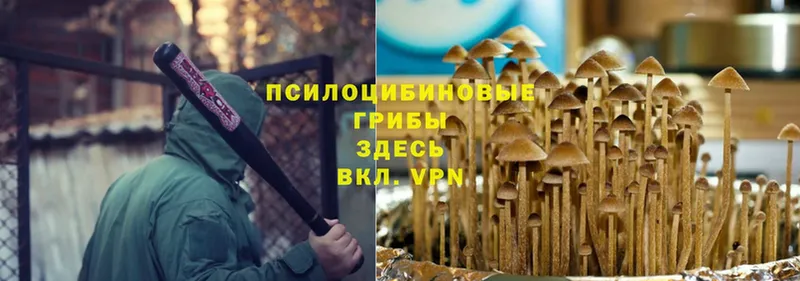 Галлюциногенные грибы Magic Shrooms Биробиджан